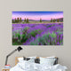 Sunset over a summer lavender field in Tihany, Hungary Wall Mural