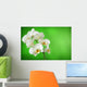 white orchid Wall Mural