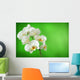 white orchid Wall Mural