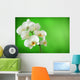 white orchid Wall Mural
