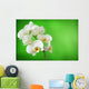 white orchid Wall Mural