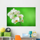 white orchid Wall Mural