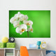 white orchid Wall Mural