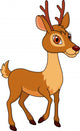 Deer Cartoon