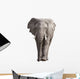 Elephant Wall Decal