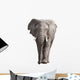 Elephant Wall Decal