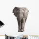 Elephant Wall Decal