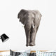 Elephant Wall Decal