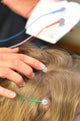 Electrodes for Neurofeedback Baby