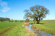 River Running through English