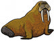 Walrus Wall Decal