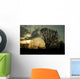 trees in a countryside scene at sunset Wall Mural