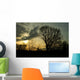 trees in a countryside scene at sunset Wall Mural