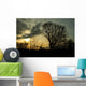 trees in a countryside scene at sunset Wall Mural