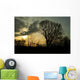 trees in a countryside scene at sunset Wall Mural
