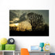 trees in a countryside scene at sunset Wall Mural