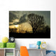 trees in a countryside scene at sunset Wall Mural