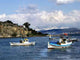 Winter Fishing Boats Wall Decal