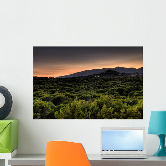 Sonnenuntergang Wall Mural