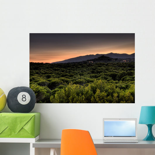 Sonnenuntergang Wall Mural