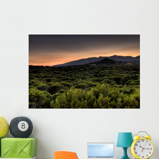 Sonnenuntergang Wall Mural