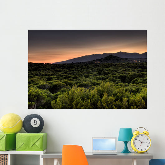 Sonnenuntergang Wall Mural