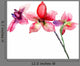 Pink orchids flowers Wall Decal