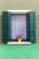 Window