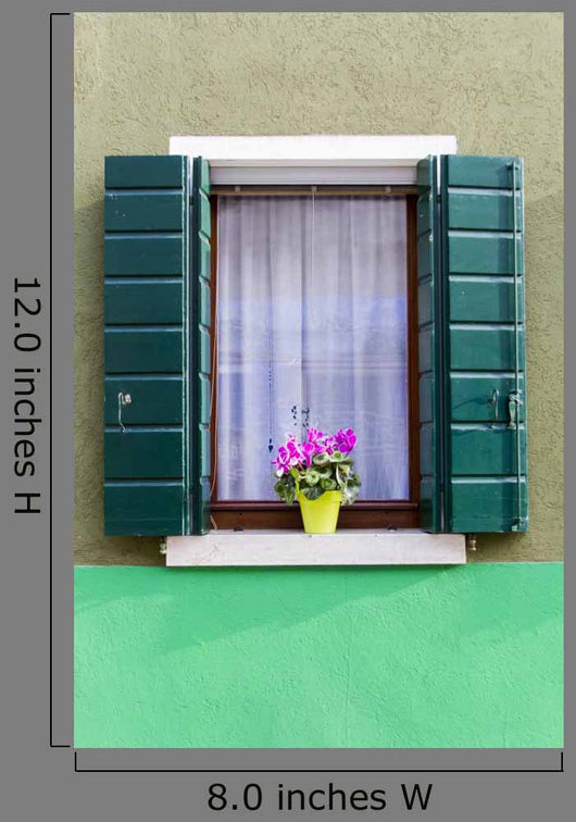 Window