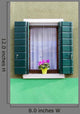 Window