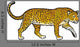 Leopard Wall Decal
