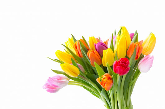 Bouquet Flowers for Anniversary