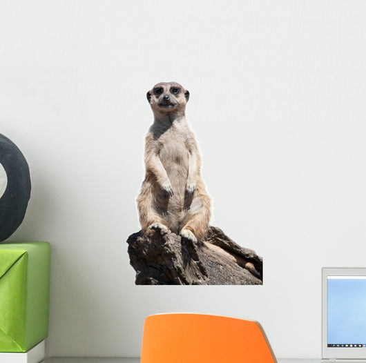 meerkat Wall Decal