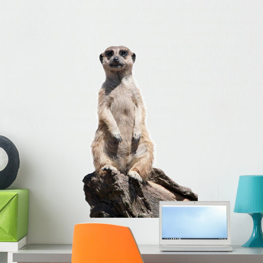 meerkat Wall Decal
