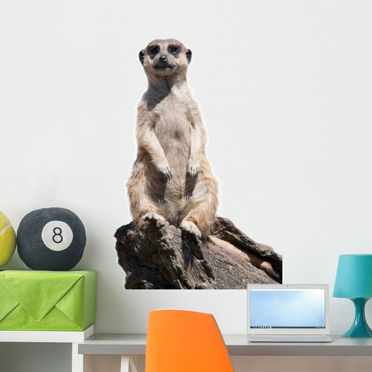 meerkat Wall Decal