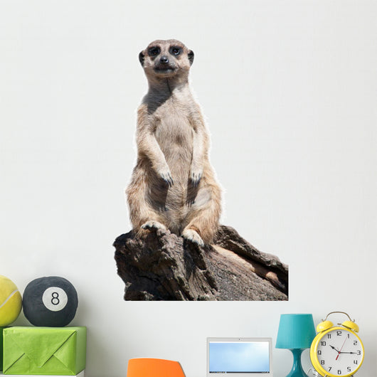 meerkat Wall Decal