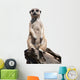 meerkat Wall Decal