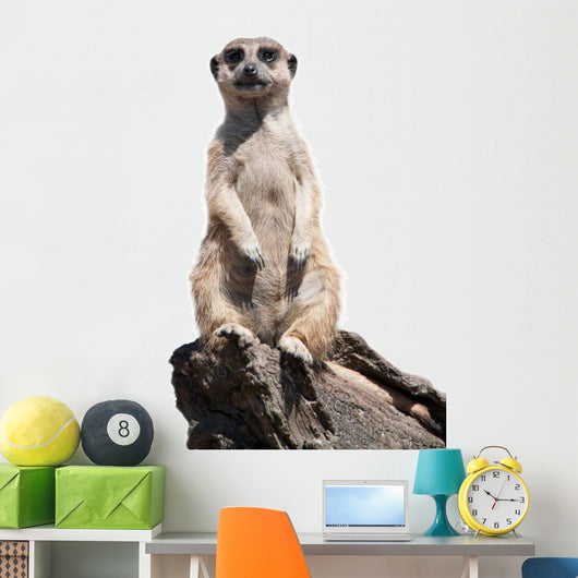 meerkat Wall Decal