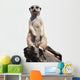 meerkat Wall Decal