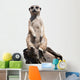 meerkat Wall Decal