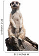 meerkat Wall Decal