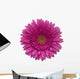 gerbera flower Wall Decal