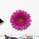 gerbera flower Wall Decal