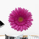 gerbera flower Wall Decal