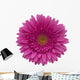 gerbera flower Wall Decal