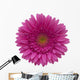 gerbera flower Wall Decal