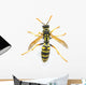 Wasp
