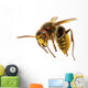 Hornet