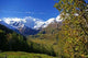 Herbst Tirol Mountain Valley Wall Decal