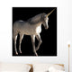 Unicorn Wall Mural